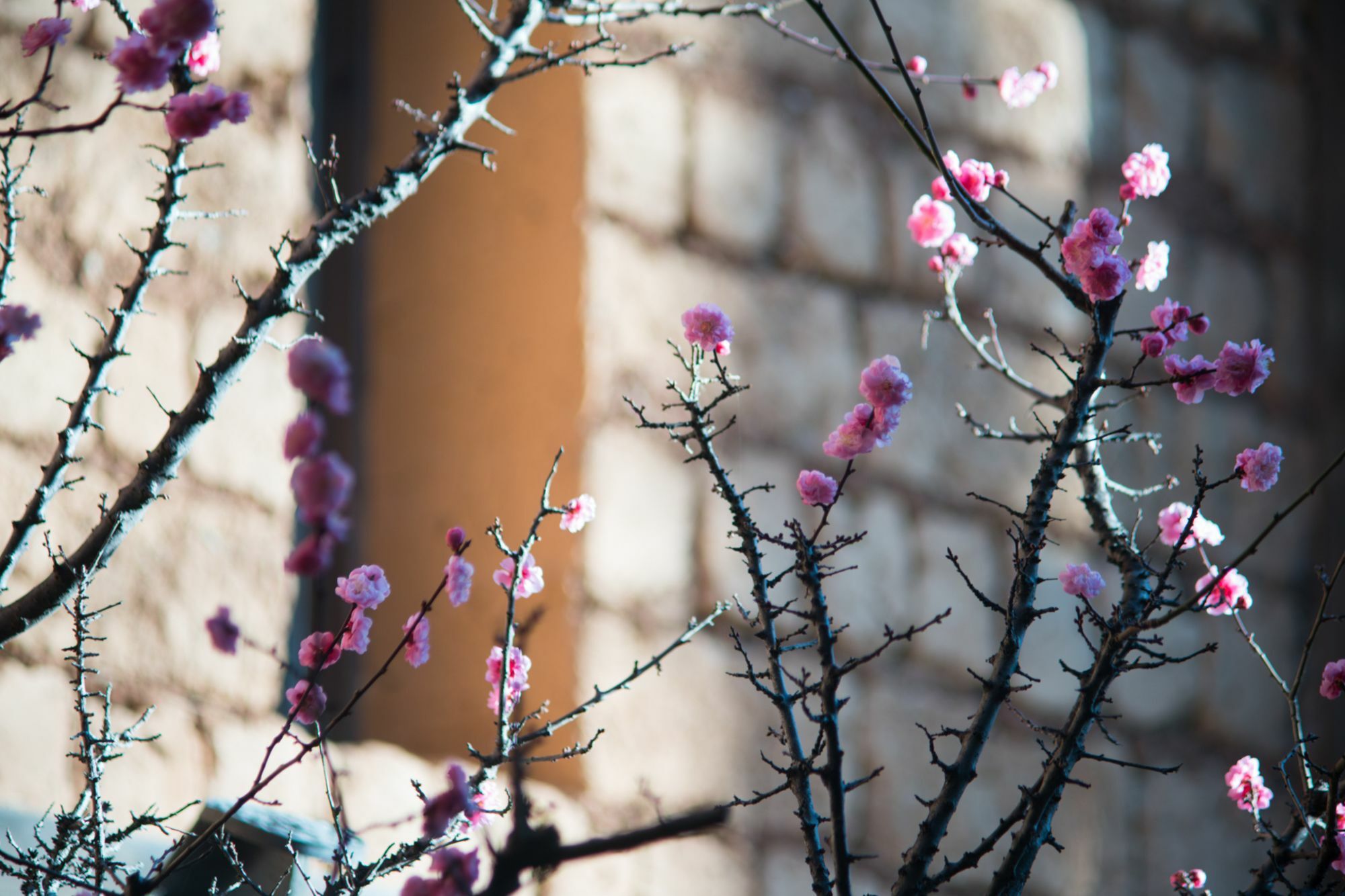 Lijiang Trustay Heartisan Boutique Hotel & Resort Bagian luar foto